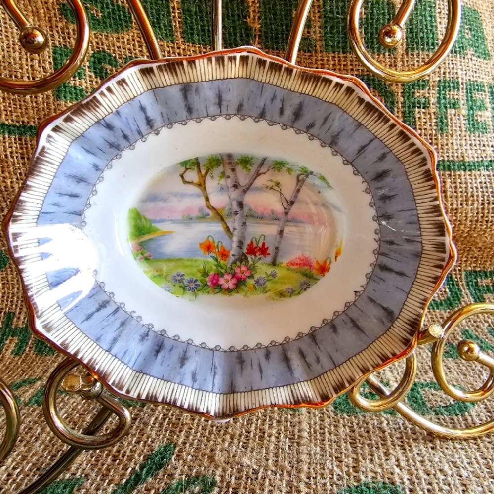ROYAL Albert Silver Bone China Bowl